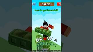 HOW TO GET BEANSTALK (grow a garden Roblox)