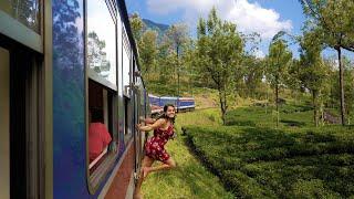 THE WORLD'S MOST BEAUTIFUL TRAIN JOURNEY: KANDY TO ELLA