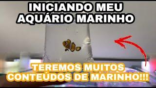 INICIANDO MEU AQUARIO MARINHO!!!