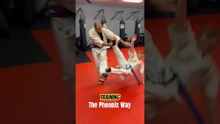 Kyokushin Karate Training: Sweep the Leg! The Phoenix Way #karate #shorts #short  #martialarts #osu