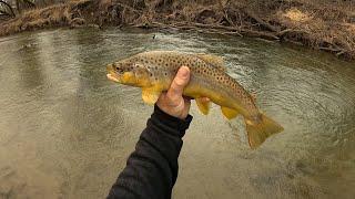 Wisconsin Trout Fishing - 3/23/2025