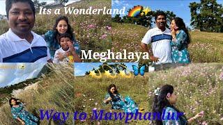 Meghalaya |Way to Mawphanlur |Beauty of Meghalaya Shillong