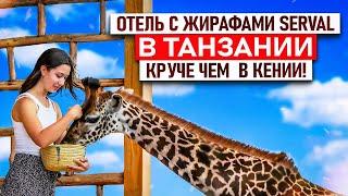 Отель с жирафами в Танзании | Парк Сервал | Туроператор Сафари Занзибари