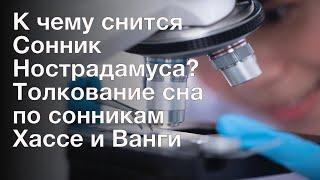 К чему снится Сонник Нострадамуса? Толкование сна по сонникам Хассе и Ванги