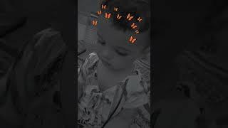 fairy Ayesha
