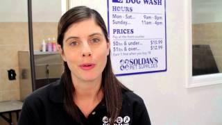 Self Serve Dog Wash at Soldan's Pet Supplies