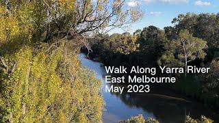 Walk along Yarra River in May 2023 4K