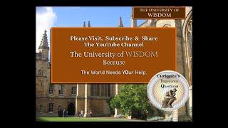 What If … An Invitation to Visit The University Of Wisdom