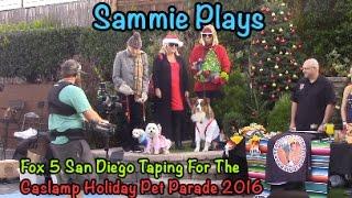 Fox 5 San Diego Taping For The Gaslamp Holiday Pet Parade 2016