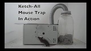 Advertised As "The World's Best Automatic Mouse Trap" Ketch-All Mouse Trap In Action