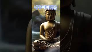 나무아미타불 관세음보살 #부처님말씀 #나무아미타불 #관세음보살 #명상