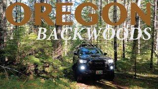 Two Tacomas Deep into the Woods of Oregon