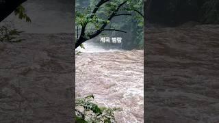 경기도 계곡 캠핑/우중캠핑/계곡 범람