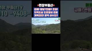 산골 싼땅 급매물 평당7만원 고지대 조망 2121평 #급매 #부동산 #조망 #싼땅 #단양 #가대리