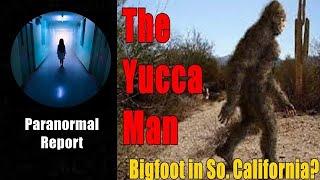 Bigfoot in So. California? The Yucca Man