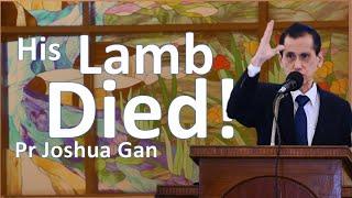 His Lamb Died! — Pr Joshua Gan