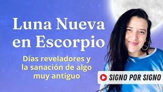  LUNA NUEVA en ESCORPIO 2024: FUERZA para SANAR algo MUY ANTIGUO (por FIN!) || por CASA Y SIGNO