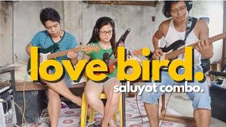 Love Bird - Saluyot Combo (Cha Cha Cover with papa)