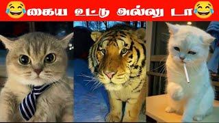 ‍⬛நீ உருட்டு உருட்டு#viral #trending #cutecat #cutedog #comedy #funnyanimalvideos