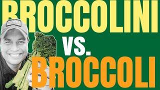 The Final Showdown: Broccoli vs Broccolini | Chefs Produce Co.