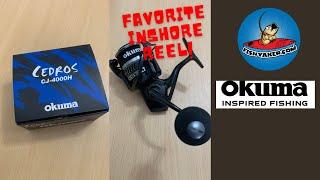 Best Inshore Spinning Fishing Reel? #shorts