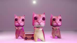 El Gato Cats dance to Bemax - Kawaii Bounce