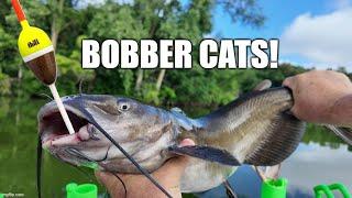 Flooded Rivers (Plan B) Bobber Catfish