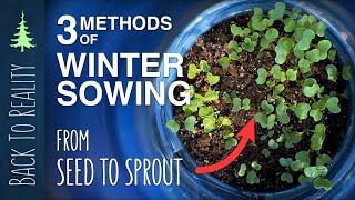 Winter Sowing Update | AFTER ONE MONTH