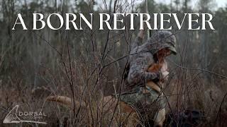 From Couch Potato to Duck Hunting Dog | Alabama Duck Hunting | A Born Retriever Part 1