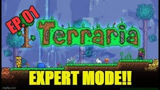 Terraria 1.4.2.3 Expert Mode Ep 01. - New Series LET'S GOOOOO!!!!