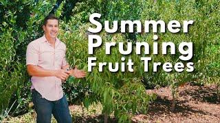 Summer Pruning Fruit Trees (Quick, Easy, Important)