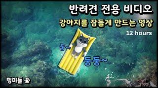 #멍마들  반려견 전용 비디오 | 잠이 솔솔~ 파도소리와 반려견 음악 - Dog-only video