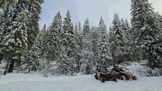 Passeio no snow nas Montanhas da Califórnia de Moto 4 Dezembro 2024