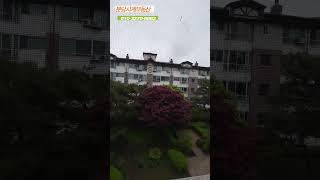 [분당고급빌라] 신안시네하우스,  지하주차장에서부터 집앞까지 엘레베이터 있어요~
