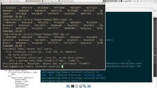 terminal colors