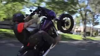 Harley Wheelies 11 - UNKNOWN Industries