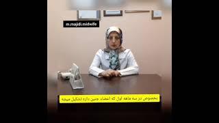 مصرف جگر در بارداری - منیژه مجیدی - ماما - Manizheh Majidi - Midwife