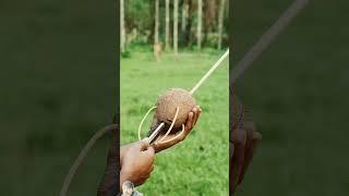 #archery #satisfying #cricket #oddlysatisfying #amazing #diy #coconut #bambooart