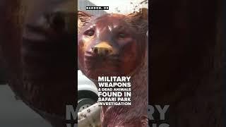 Military weapons, dead animals, and a concrete vault all part of safari park investigation