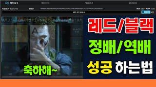 하이로우 배팅 성공하는 방법, 3가지 배팅법