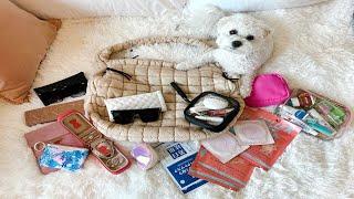 What's in My Bag - Free People Quilted Carryall! Review & Travel Essentials!