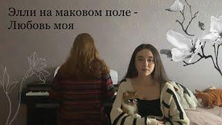 [кавер] Элли на маковом поле - Любовь моя