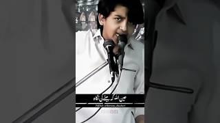 Zakir Shabih ul Hassan shamsi New Qasida #viral #qasida #zakir #shorts