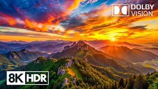 Uncover Nature’s Hidden Wonders in 8K HDR Dolby Vision 60FPS