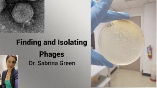 Finding and Isolating Phages