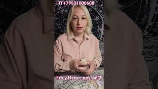 Что у Него с другой?! Елена Лайтс