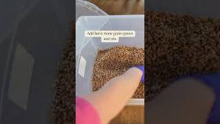 Easiest Way to Grow Lion's Mane Mushrooms