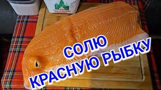 Как я солю лосось/Красная рыбка/Салмон/МОЙ рецепт