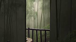 너무좋은 빗소리 #asmr #빗소리 #잠들기전 #심신안정 #백색소음