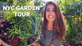 FULL Garden Tour + Harvest | WEEK 7 // NYC Urban Garden Zone 7b